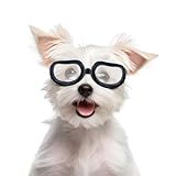 Enjoying Kleine Hundebrille Schutzbrille für Hunde Kleiner Rassen UV-Schutz Augenschutz Winddichte Anti-Fog-Haustierbrille für Hunde über 5 lbs, Durchsichtig