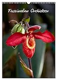 Faszination Orchideen (Wandkalender 2024 DIN A3 hoch), CALVENDO Monatsk