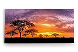 Paul Sinus Wandbild 120x60cm Afrikanische Landschaft Burkea Africana Bäume Sonnenuntergang
