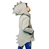 Alleen Baby Kinder Kleidung Herbst Dinosaurier Langarm Tops Hoodie für Jungen 1-7Jahre (Größe 110, Grau)