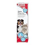Beaphar Zahnpflege Set - Für Hunde und Katzen - Mit Leber-Geschmack - Zahnbürste und Zahnpasta - Set (1 Stück / 100 g)