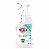 Sagrotan Desinfektions-Reiniger – Desinfektionsmittel für die tägliche, sanfte Reinigung, 500