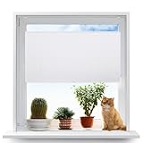Faltrollos Für Fenster 60 x 210 cm Einfache Montage, Pflegeleicht Faltrollo Plisseerollo inkl. Zubehör für Fenster & Tür, Weiß