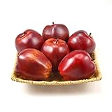 Ikosora Künstliche Äpfel, künstliche köstliche Äpfel für Dekoration, Küche, lebensechte künstliche Früchte, Modell rote Äpfel für Zuhause, Hochzeit, Party, Dekoration, realistische künstliche Früchte,
