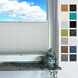 Rollmayer Plissee mit Bohren, Plisseerollo Faltrollo Sichtschutz und Sonnenschutz für Fenster und Tür Premiumqualität Falte für Zuhause, 3 Kollektionen(Binco Silber,B45cm x H200cm)