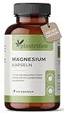 plantrition Magnesium Kapseln 775 mg davon 100 mg elementares Magnesiumglycinat pro Kapsel - Magnesium-Bisglycinat hochdosiert - 120 Vegane Kap