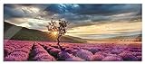 Glasbild Panorama | Wandbild aus Echtglas | Lavendel Provence mit Baum | 100x40 cm | inkl. Aufhängung und Ab