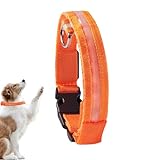 Peegsan Leuchthalsband - Blinkendes Leuchthalsband für Hunde - Tragbares, im Dunkeln leuchtendes Hundesicherheitshalsband für mittelgroße Welpen und H