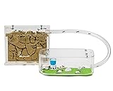 AntHouse - Natürliche Ameisenfarm aus Sand | Basic Set (Sandwich + Futterbox) | Ink