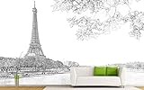 Foto Wandkunst Landschaft Eiffelturm Schwarz Weiß Tapete 3D Bild Dekoratives Wandbild Dekoratives Schlafzimmer TV Wandbild Tapete Wohnzimmer die fototapete 3d Vlies wandbild Schlafzimmer-350cm×256