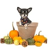 CIYODO 1Stk Halloween-Haustier-Lätzchen Halloween kostüm Halloween Costume Halloween-Hundelätzchen Haustiere Lätzchen Schal Halstuch für Haustiere Hundehalsband doppelseitig schmück