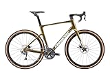 Rinos Carbon Gravel Bike Sandman5.0 Shimano R8000 Ultegra (Gold, 58cm)