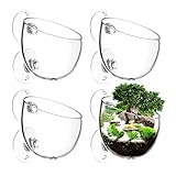 AIMEKE 4 Stück Wasserpflanzentopf Aquarium Deko Kristallglas Glas Cup Pflanzenhalter Cup Topf Pflanz für Aquarienpflanzen, mit 8 × Saugnäp