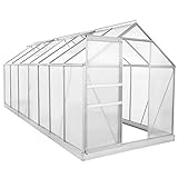 Zelsius Aluminium Gewächshaus für den Garten | inklusive Fundament | 430 x 190 cm | 6 mm Platten | Vielseitig nutzbar als Treibhaus, Tomatenhaus, Frühb