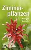 Zimmerpflanzen: Kennenlernen, erfolgreich pfleg