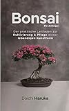 Bonsai Für Anfänger: Der praktische Leitfaden zur Kultivierung & Pflege dieser lebendig