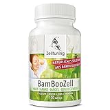 BamBooZell Haar Vitamine - 120 Silizium Hochdosiert Kapseln - Mit Biotin, Zink, Mangan - Silicea aus Bambus-Extrakt - Haut Haare Nägel Kapsel aus Deutschland - Silica, Rein Ohne Z
