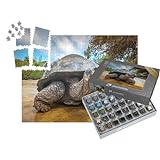 puzzleYOU: SMART Sorted® | Puzzle 1000 Teile leicht gemacht „Galapagos-Schildkröte, Ecuador“ – aus der Puzzle-Kollektion Meeresschildkröten, Fische & W