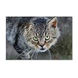 SZTVECFW Puzzles 1000 Teile Holzmontagebild, Graue Katze, Vorderansicht, grüne Augen, Spiele for Erwachsene, Lernspielzeug (75 x 50 cm)