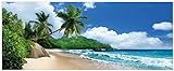 Wallario Glasbild Urlaub auf den Seychellen unter Palmen am Sandstrand - 32 x 80 cm Wandbilder Glas in Premium-Qualität: Brillante Farben, freischwebende Optik
