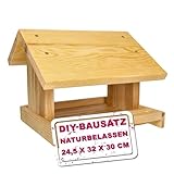 Mein Wildvogel - Vogelfutterhaus Bausatz - DIY Vogelhaus aus naturbelassenem Nadelholz inkl. Pinsel und Leinöl - wetterfestes Vogelhäuschen zum selber Bauen - Vogelhaus Bausatz Kinder - B