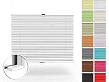 Home-Vision Premium Plissee nach Maß, zum Anschrauben in der Glasleiste, Blickdicht für Fenster & Tür Sonnenschutzrollo in verschiedenen Breiten, Höhen Farbe des Textile und Profilfarb