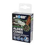 Hobby 51115 Alder Cones, 50 Stück (1er Pack)