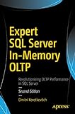 Expert SQL Server In-Memory OLTP (English Edition)