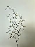 mucplants Haselnusszweig Korkenzieherhasel 70cm künstlicher Zweig Korkenzieherzweig Hasel künstlicher AST Kunstast Kunstzweig