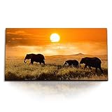 Paul Sinus Kunstdruck Bilder 120x60cm Afrikanische Landschaft Elefanten Tierfotografie S