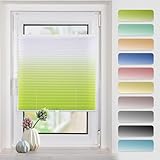 Plissee mit Farbverlauf 80x120cm(BxH) Grün-Weiß plissees klemmfix ohne Bohen Blickdicht Faltrollo Lichtdurchlässig Rollos für Fenster ohne B