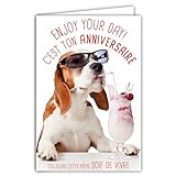 AFIE Humorvolle Geburtstagskarte mit Umschlag illustriert, Format 17,5 x 12 cm, lustiger Hund, lustig, mit Sonnenbrille und Eiscreme Kirschen, hergestellt in Frankreich, 69-6208