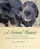 A Second Chance: An Inspirational Journey through the Eyes of an Animal Shelter V
