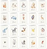the lazy panda card company 20 Dankeskarten mit 20 verschiedenen Aquarell-Tierzeichnungen auf der V