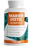 Mariendistel Kapseln hochdosiert 120x - 5-fach-Komplex mit Mariendistel, Artischocke, Löwenzahn, Desmodium & Cholin - Leberfunktion & Fettstoffwechsel - 200 mg Silymarin pro Tag - Vorrat für 4 M