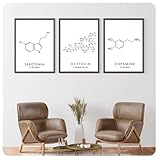 Oxytocin-Dopamin-Leinwandgemälde Wissenschaft Chemie Molekülstruktur Serotonin Wandkunst Posterdruck Bild Labor Heimdekoration 30 x 40 x 3 cm ung