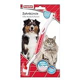 Beaphar Zahnbürste - Für Hunde und Katzen - Mit speziellem Borstenschnitt für gründliche und schonende Reinigung - 1 Stück, R