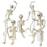 EVOTECH SCIENTIFIC Mini-Mensch-Skelett-Modell Für Anatomie, 5 Skelett set für Halloween Dek