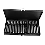 NUOBESTY 40 Stück Star -batch -set Reparatursätze Für Steckdosen Spline-bit Sternchen Buchse Kfz-reparatursteckdosen Steckschlüssel Stern-bit-stecknuss S2 Stahl Silver Zufällige Farb