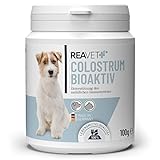 ReaVET Colostrum Pulver für Hund & Katze 100g - Immun Boost mit hohem Immunglobulin Gehalt, Immunsystem stärken, Magen & Darm, Natü
