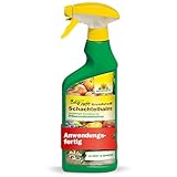 Neudorff BioKraft Grundstoff Schachtelhalm – Anwendungsfertiges Spray gegen Pilzkrankheiten an Obst und Gemüse, 100% natürliche Inhaltsstoffe, 500