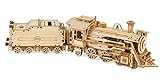ROKR 3D Puzzle Express Dampflokomotive Holzpuzzle Modellbau - lokomotive Holzbausatz - Weihnachten Geburtstagsgeschenk für Jugendliche und Erwachsene (Prime Steam Express)