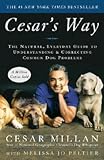 Cesar Millan: Cesar 's Way: Die Natürliche, Alltag Guide to Verständnis und Beheben Gemeinsame Hund Probleme (Paperback); 2007 E