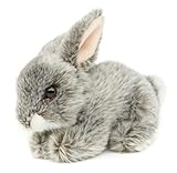 Uni-Toys - Hase, liegend (grau) - 18 cm (Länge) - Plüsch-Kaninchen - Plüschtier,