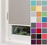 Home-Vision® Premium Plissee Faltrollo ohne Bohren mit Klemmträger / -fix (Grau, B55cm x H150cm) Blickdicht Sonnenschutz Jalousie für Fenster & Tü