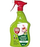 PROTECT GARDEN Lizetan Orchideen-Spray AF, gegen hartnäckige Schädlinge wie Blattläuse, Wollläuse, Schildläuse, Spinnmilben an Orchideen, 500 ml Sprü