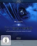 forsenses (Premium-Sonderedition incl. iphone 3G- und iPod Touch-3D-Folie) [Blu-ray]