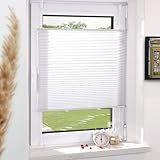 Plissee Klemmfix ohne Bohren Weiß 40x120cm(BxH) Plissees lichtdurchlässig Blickdicht Jalousien ohne Bohren Fensterrollo Klemmrollos Sonnenschutz Sichtschutz Faltrollo Easyfix Rollos für F