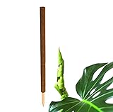 BigDean Pflanzstab Kokos 110 cm - Monstera Rankhilfe Rankstab Stab Moosstab Pflanzenstab Kokosstab für Pflanzen - aus natürlicher Kokosfaser - verlängerb