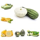 80 StüCk Zucchini Samen Zucchinisamen Zuchini Saat Mix GemüSe Set Pflanzen Saatgut WintergemüSe GemüSepflanzen Bio GemüSesamen Balkon Hochbeet Exotische Winterharte Zimmerp